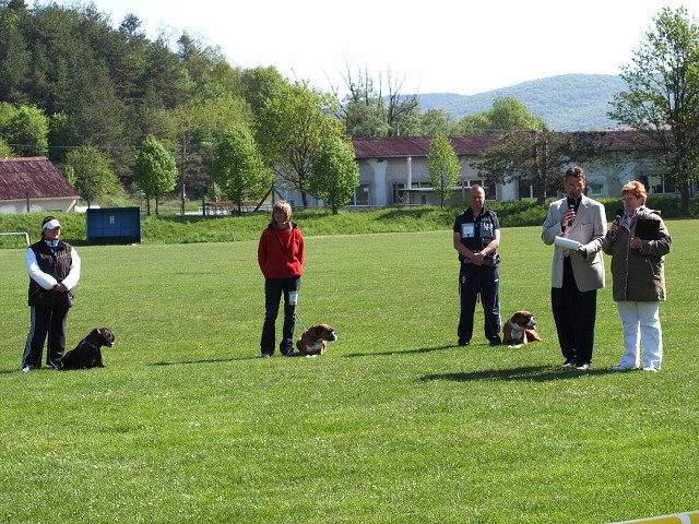www.atibox.net * www.euroboxer.eu * www.boxergenealogia.eu
